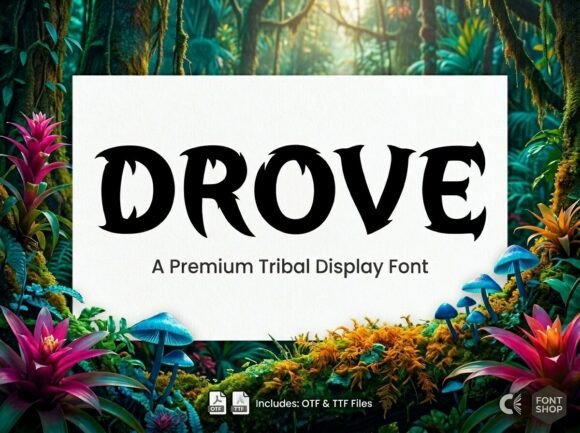Drove: Where Ancient Gothic Meets Modern Tribal Edge